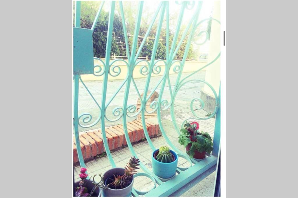 Cosy Studio Flat On The Seaside Leilighet Lido di Ostia Eksteriør bilde